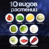 Набор для опытов &laquo;Моя мини-ферма&raquo;, выращивание растений, в космосе