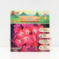 Флокс &laquo;Александра&raquo; корневище в пакете с торфогрунтом, р-р I, 2 шт.