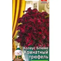 Семена цветов Колеус Комнатный трюфель Мн Зимний сад, Ц/П,5 шт.