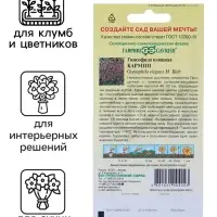 Семена Гипсофила "Кармин", ц/п,  0,1 г