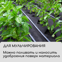 Материал для ландшафтных работ, 20 &times; 1,6 м, плотность 120 г/м&sup2;, спанбонд с УФ-стабилизатором, чёрный, Greengo, Эконом 30%