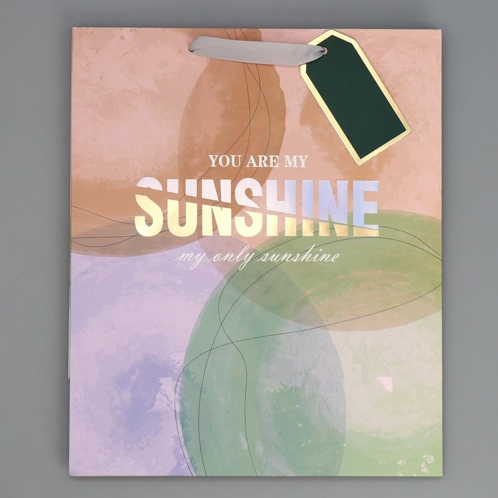 Пакет подарочный ламинированный, упаковка, &laquo;Солнце моё&raquo;, 25.4 х 30.5 х 12.7 см