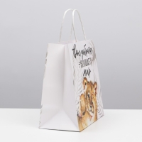 Пакет подарочный, упаковка, &laquo;Доброта&raquo;, 22 х 22 х 11 см