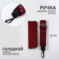 Зонт механический &laquo;Aлистер&raquo;, 4 сложения, 10 спиц, R = 52/60 см, D = 120 см, цвет МИКС