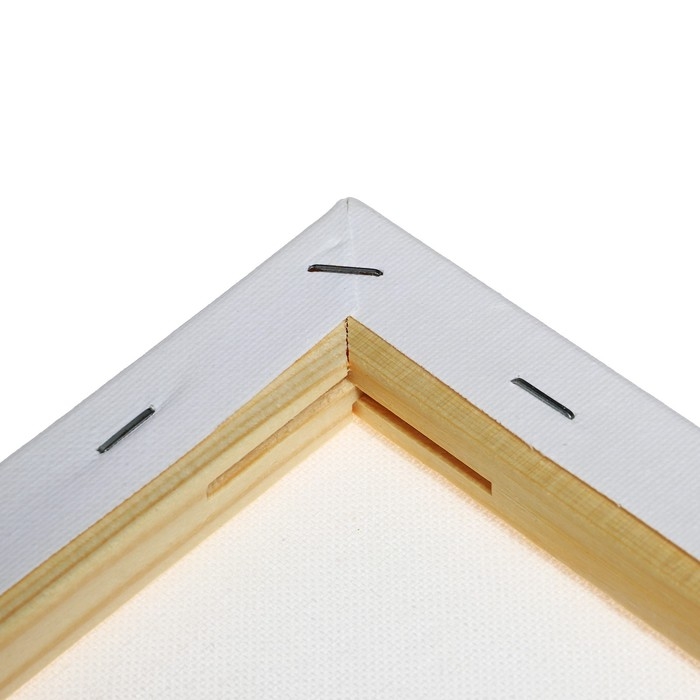 Холст на подрамнике 1,6х40х50 см, Calligrata, хлопок 100%, акриловый грунт, мелкозернистый, 280г/м&sup2;