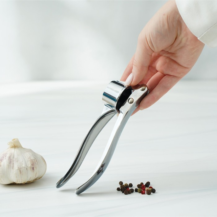 Пресс для чеснока Доляна &laquo;Эрнест&raquo;, 15 см, цвет серебряный