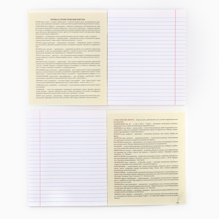 Предметная тетрадь А5, 48 л на скрепке &laquo;Яркий. Литература&raquo; ТВИН лак, уф лак, конгрев