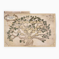 Родословная книга &laquo;Наш род&raquo;, с пером, 56 листов, бордо, 35 х 25 см