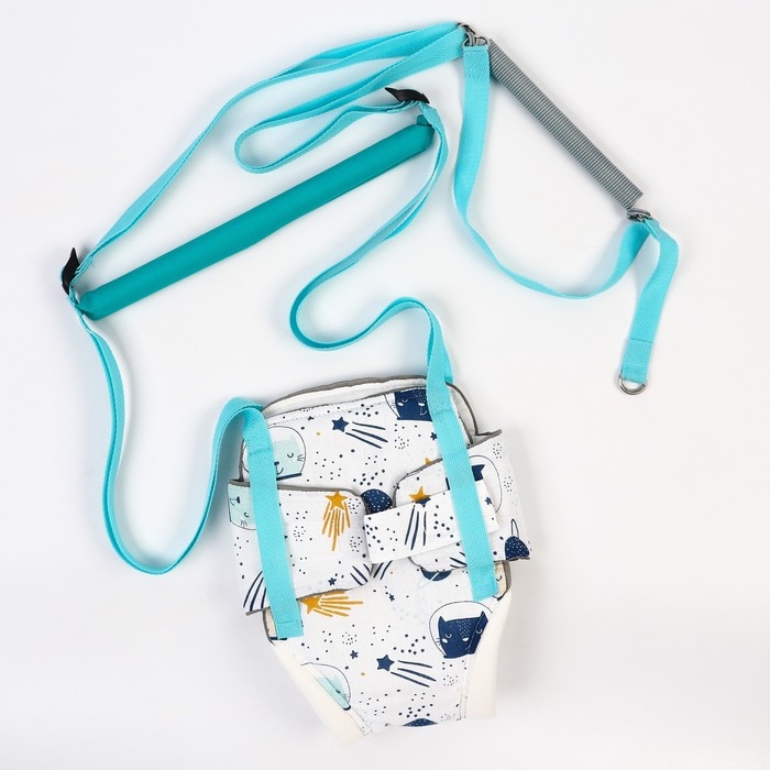 Прыгунки №1, 2в1 &laquo;Космос&raquo; (прыгунки, качели, тарзанка)