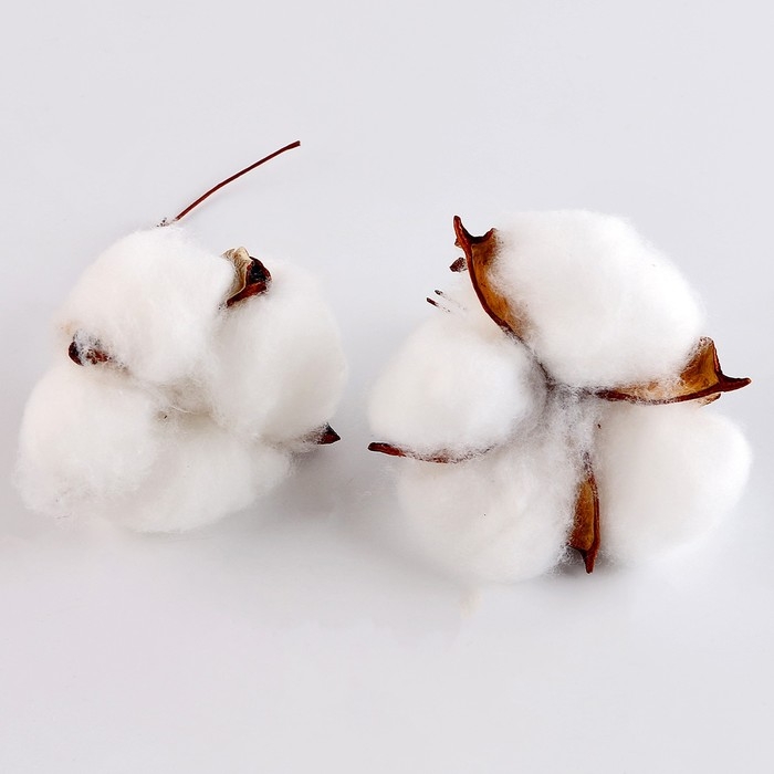 Набор для творчества &laquo;Материалы для зимних поделок. Шишки, веточки&raquo;