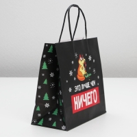 Пакет подарочный новогодний &laquo;Это лучше, чем ничего&raquo;, 22 х 22 х 11 см
