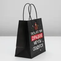 Пакет подарочный новогодний &laquo;Пусть мечты сбудутся&raquo;, 22 х 22 х 11 см