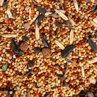 Корм "Верные друзья" для карелл и неразлучников, овощи/фрукты, 500 г