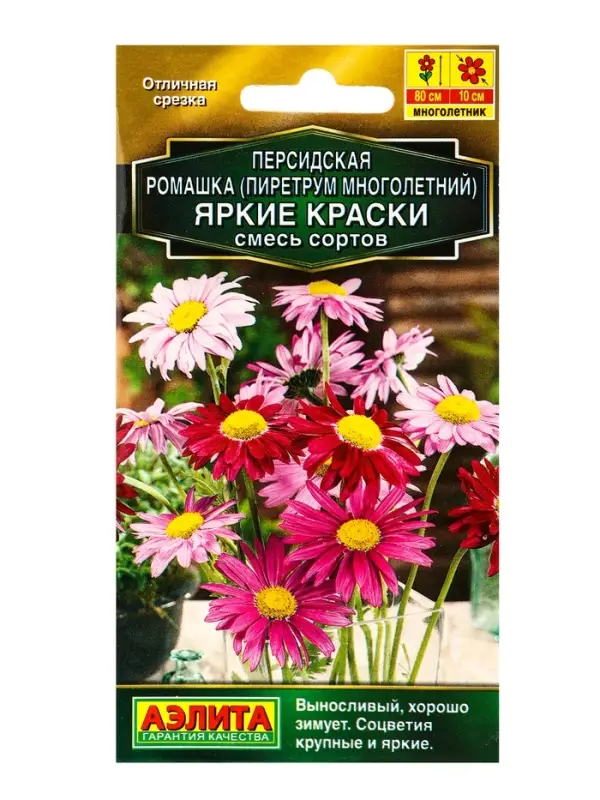 Семена цветов Персидская ромашка Яркие краски, смесь сортов Мн Золотая серия, Ц/П,0,1 г