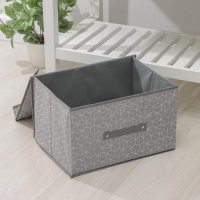 Короб стеллажный для хранения с крышкой Доляна &laquo;Фора&raquo;, 40&times;30&times;25 см, цвет серый