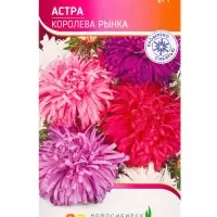 Семена Астра Королева Рынка 0,3 г