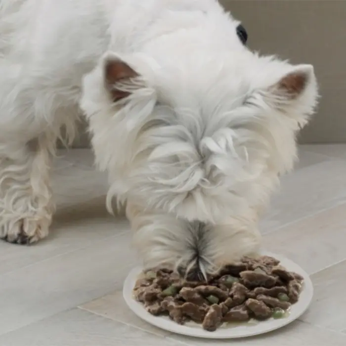 Влажный корм Cesar для собак, телятина/овощи, пауч,  85 г