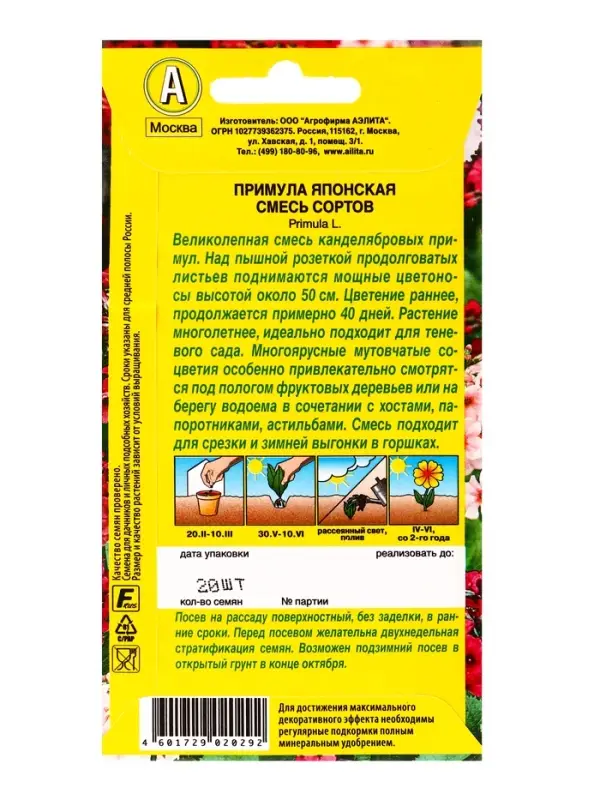 Семена цветов Примула японская, смесь окрасок Мн, Ц/П,20 шт.