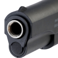 Пистолет "Ястреб", 21 см