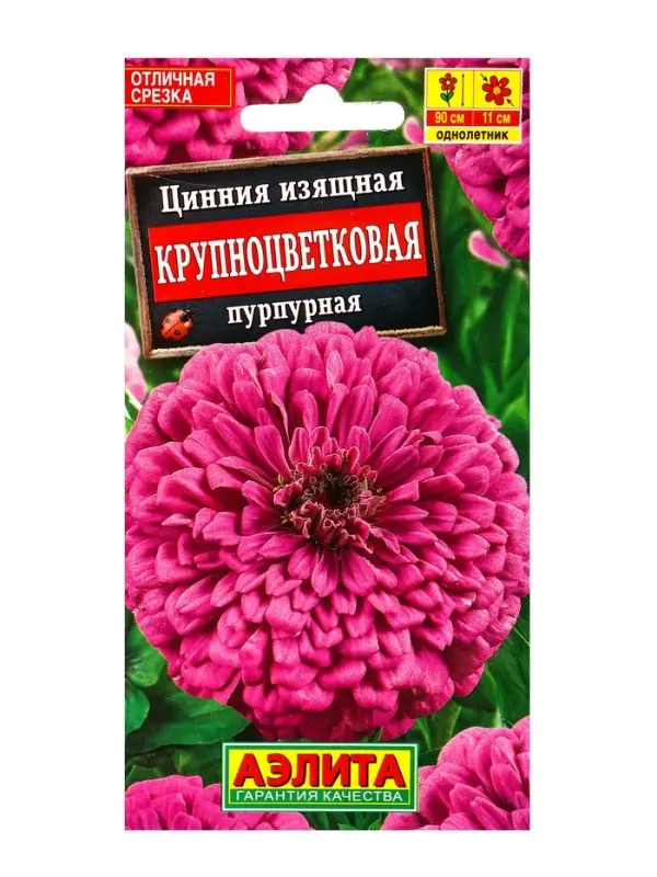 Семена цветов Цинния Крупноцветковая пурпурная , Ц/П,0,3 г