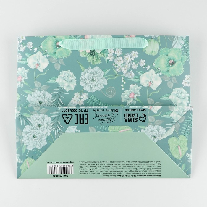 Пакет подарочный ламинированный с пластиковым окном, упаковка, &laquo;Тебе&raquo;, 32,5 х 26,5 х 13,5 см