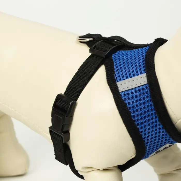 Комплект амуниции с мягкой шлейкой и светоотражающей нашивкой, M, ОШ 26,  ОГ 36-44, синий