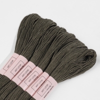 Набор ниток мулине №645, 8 &plusmn; 1 м, 6 шт, цвет тёмно-оливковый