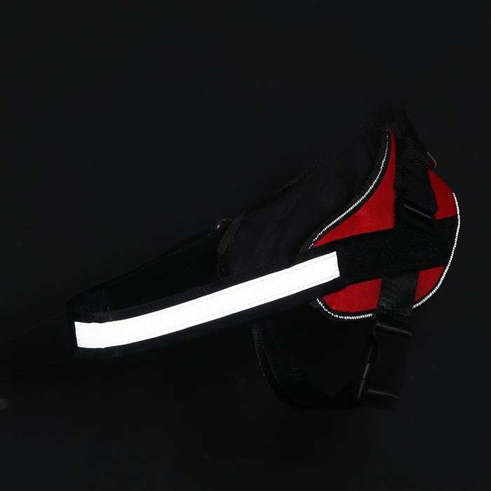 Шлейка К9 мягкая светоотражающая, размер ХL, ОГ 80-95 см, вес 30-45 кг, красная