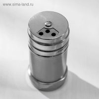 Солонка из нержавеющей стали &laquo;Металлик&raquo;, 120 мл, 4,3&times;8 см, цвет серебряный