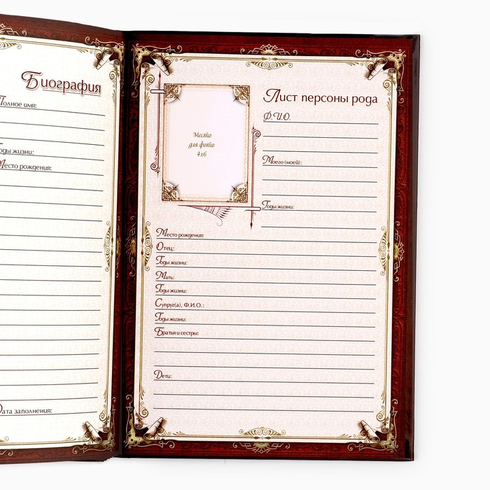 Родословная книга &laquo;Древо&raquo;, 56 листов, 16,5 х 24 см.