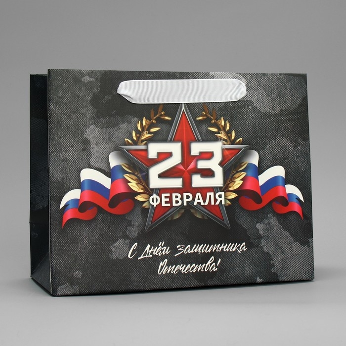 Пакет подарочный ламинированный вертикальный, упаковка, &laquo;23 февраля&raquo;, MS 23 х 18 х 10 см
