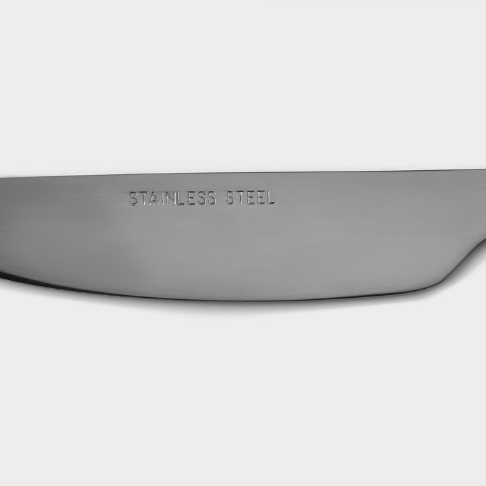 Нож столовый из нержавеющей стали &laquo;Тайфун&raquo;, длина 22,5 см, цвет серебряный