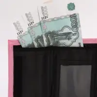 Кошелек детский на липучке, Коты аристократы