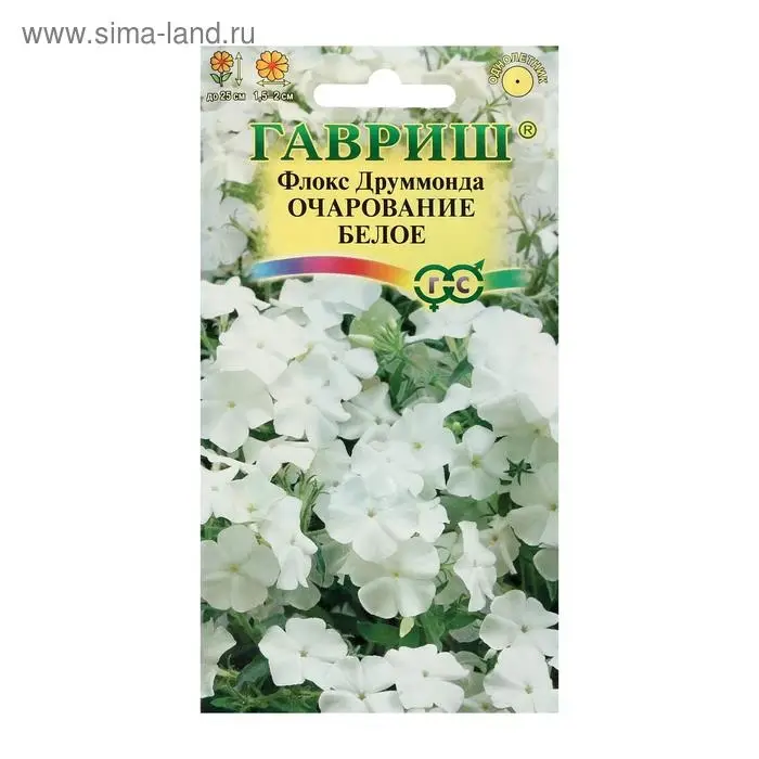 Семена цветов Флокс "Очарование белое", ц/п,  друммонда, О, 0,05 г