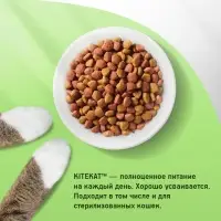 Сухой корм Whiskas для кошек, Телятинка аппетитная, 1.3 кг