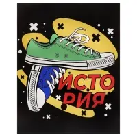 Тетрадь предметная 48 листов в клетку Calligrata, &laquo;Кеды. История&raquo;, картонная обложка