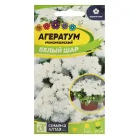 Семена цветов Агератум "Белый шар", 0,1 г