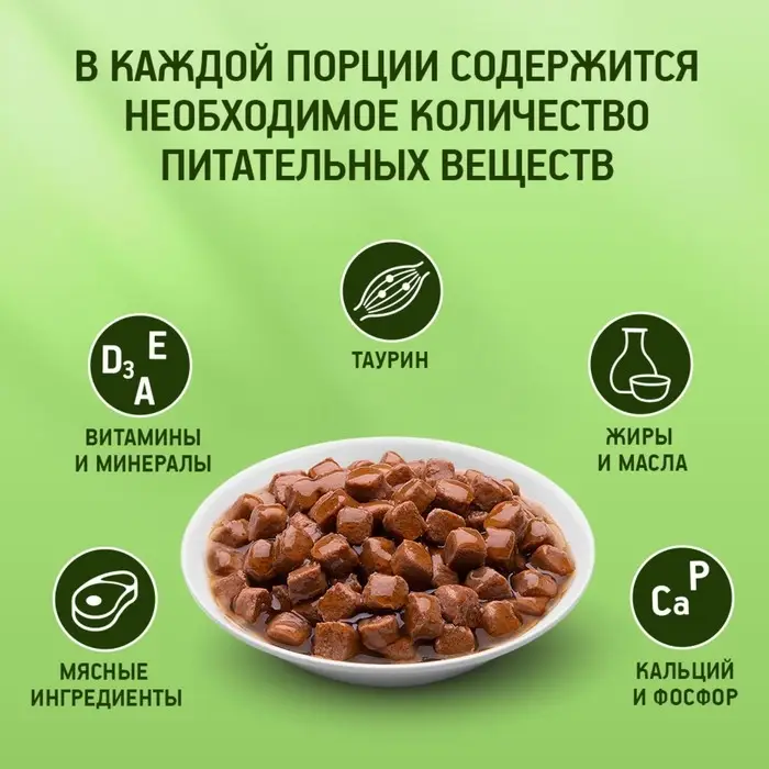 Влажный корм KiteKat для кошек, говядина в соусе, пауч, 85 г