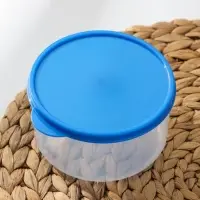 Контейнер круглый Доляна, пищевой, 500 мл, прозрачный, крышка синяя