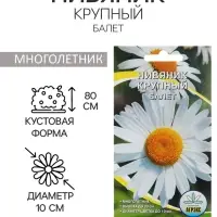 Семена цветов Нивянник, многолетний, белый 0,1 г