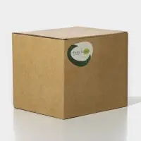 Чайник заварочный стеклянный BellaTenero &laquo;Круиз&raquo;, 1 л, с бамбуковой крышкой и металлическим фильтром, цвет золотой