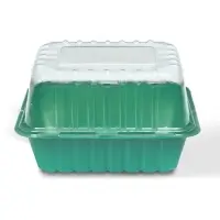 Мини-парник для рассады, 21&times;16&times;6.5, без вставок, пластик, Greengo