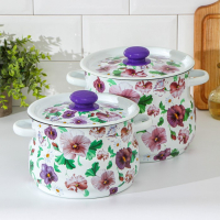 Набор кастрюль &laquo;Анютины глазки&raquo;, 2 предмета: 4 л, 5.5 л, индукция