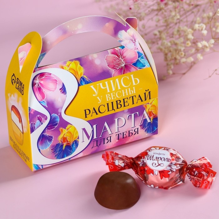 Шоколадные конфеты в сумочке &laquo;Учись у весны&raquo;, 150 г