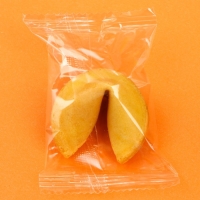 Печенье с предсказанием &laquo;Что тебя ждёт?&raquo;, 1 шт.