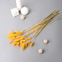 Сухоцветы &laquo;Лагурус&raquo;, h=65 см, (фасовка 30 шт., цена за 1 шт.), жёлтые