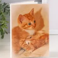 Фотоальбом 36 фото 10X15см, "Рыжий котёнок", ПП карм.,мягкая обложка