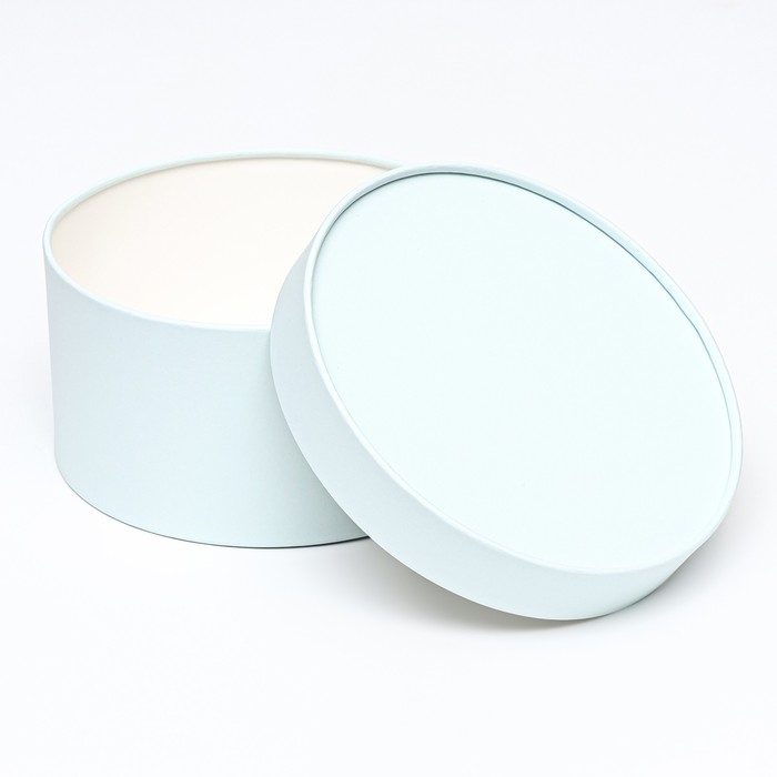 Подарочная коробка "Frilly" лагуна, завальцованная без окна, 21 х 11  см