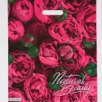 Пакет "Розовые бутоны, полиэтиленовый с вырубной ручкой, 38х45 см, 60 мкм