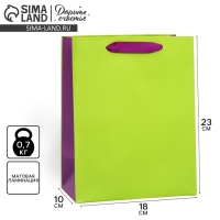 Пакет подарочный двухцветный, упаковка, &laquo;Салатовый-сиреневый&raquo;, MS 18 х 23 х 10 см